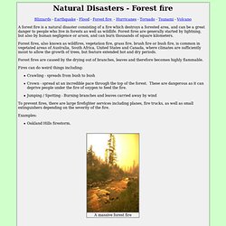 Natural Disasters - Forest fire