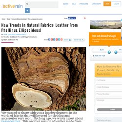 New Trends In Natural Fabrics: Leather From Phellinus E
