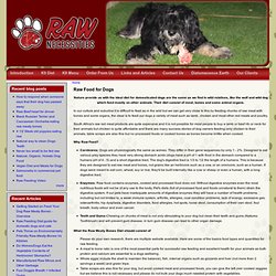 RBM Health and Diet for Dogs and Cats