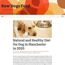 Natural and Healthy Diet for Dog in Manchester in 2020