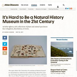 It's Hard to Be a Natural History Museum in the 21st Century - Atlas Obscura