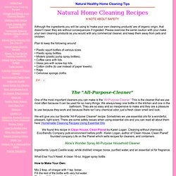 Natural Home Cleaning Recipes - Flock
