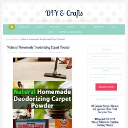 Natural Homemade Deodorizing Carpet Powder
