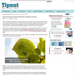 Natural Pesticides: Recipes &amp; Tips
