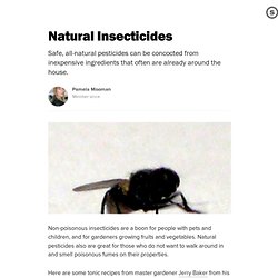 Natural Insecticides: Common Ingredients Can Combine to Fight Off Hot-Weather Pests