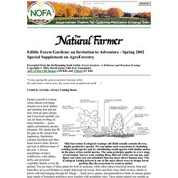 The Natural Farmer: Spring 2002: Edible Forest Gardens - an Invitation to Adventure