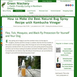 How to Make the Best Natural Bug Spray Recipe with Kombucha Vinegar