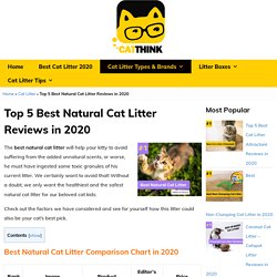 Best Natural Cat Litter Biodegradable in 2020