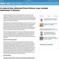 A natural dye obtained from lichens may combat Alzheimer's disease