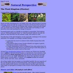 Natural Perspective: Plant Kingdom