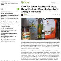 Keep Your Garden Pest Free with These Natural Pesticides, Made with Ingredients Already in Your Pantry