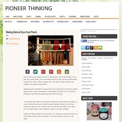 Dye - Dyes From Plants - Pioneer Thinking