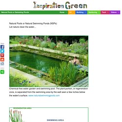 Natural Pools or Swimming Ponds