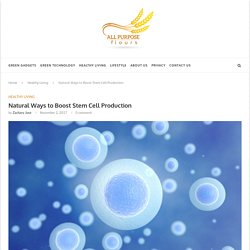 Natural Ways to Boost Stem Cell Production