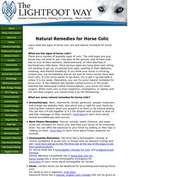 Natural Remedies for Horse Colic