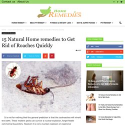 15 Natural Home remedies to Get Rid of Roaches Quickly