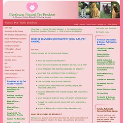 Natural Pet Health Info: Seizures & Epilepsy in Dog, Cat & Pets
