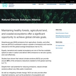 Why NCS > Natural Climate Solutions Alliance