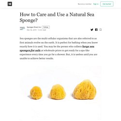 How to Care and Use a Natural Sea Sponge?