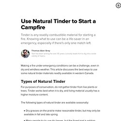 Use Natural Tinder to Start a Campfire: Birch Bark, Cattail Fluff, and Spruce Twigs (Squaw Wood)