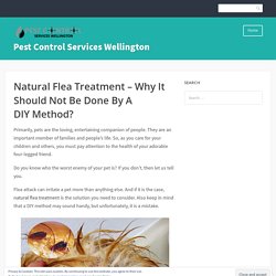 Natural Flea Treatment – Why It Should Not Be Done By A DIY Method?
