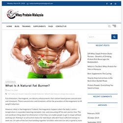 What Is A Natural Fat Burner? - WheyProteinMalaysia.com