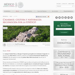 Calakmul: cultura y naturaleza reconocida por la UNESCO