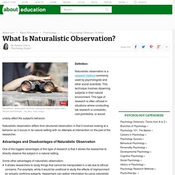 What Is Naturalistic Observation? (Definition & Examples)