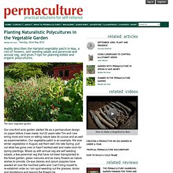 Planting Naturalistic Polycultures in the Vegetable Garden
