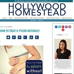 How to Treat H. Pylori Naturally - Hollywood Homestead