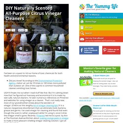 DIY Naturally Scented All-Purpose Citrus Vinegar Cleaners