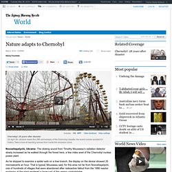 Nature adapts to Chernobyl