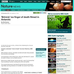 BBC Nature - 'Brinicle' ice finger of death filmed in Antarctic