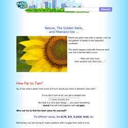 Nature, The Golden Ratio and Fibonacci Numbers