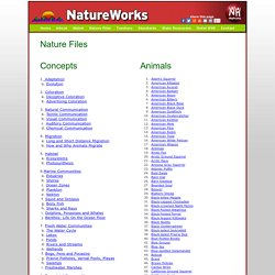 Nature Files