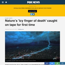 Nature’s 'icy finger of death' caught on tape for first time