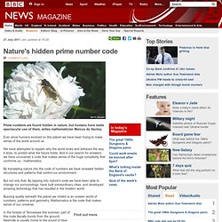 Nature's hidden prime number code