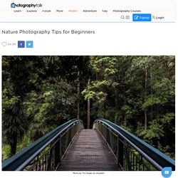 Nature Photography Tips for Beginners