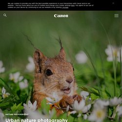 Urban nature photography tips - Canon Europe