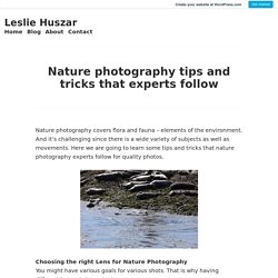 Nature photography tips and tricks that experts follow