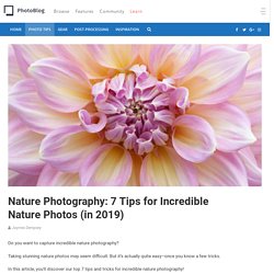 Nature Photography: 7 Tips for Incredible Nature Photos (in 2019)