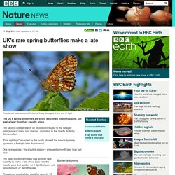 BBC Nature - UK's rare spring butterflies make a late show