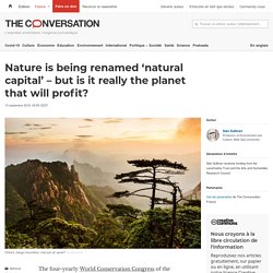 Nature is being renamed 'natural capital' – but is it really the planet that will profit?
