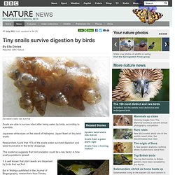 BBC Nature - Tiny snails survive digestion by birds