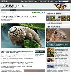 Nature - Tardigrades: Water bears in space