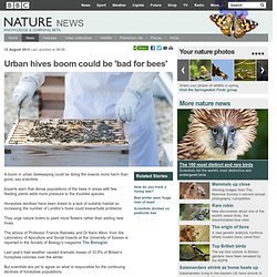 BBC Nature - Urban hives boom could be 'bad for bees'
