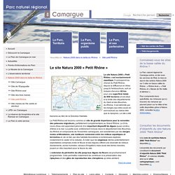 Site petit Rhône - Parc naturel régional de Camargue