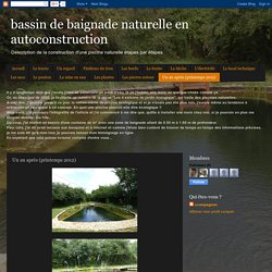 bassin de baignade naturelle en autoconstruction: Un an après (printemps 2012)