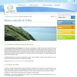 Réserve naturelle de la Baie de Saint-Brieuc: la plus grande réserve de Bretagne