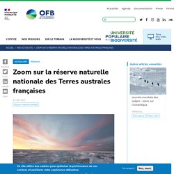 Zoom sur la réserve naturelle nationale des Terres australes françaises